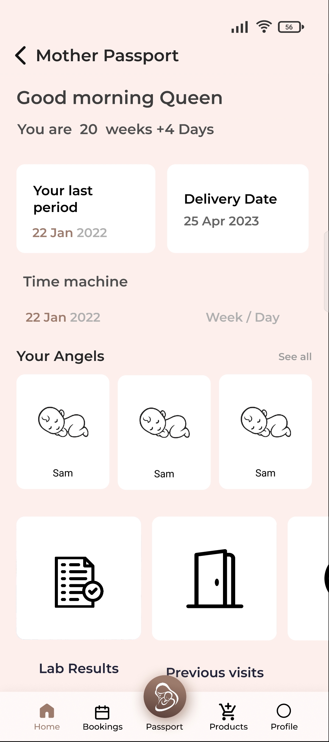 Mother Passport pregnancy tracking screen